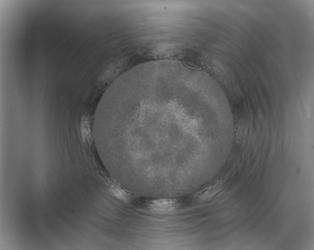 X0000072930335200608041222