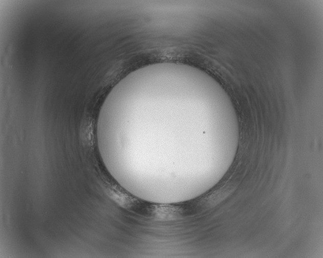 X0000072930336200608041222