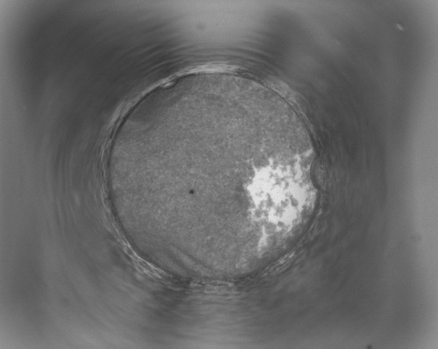 X0000072930337200608041221