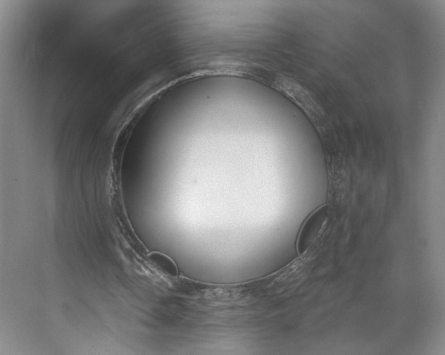 X0000072930338200608041222