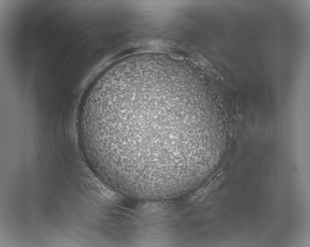 X0000072930341200608041222