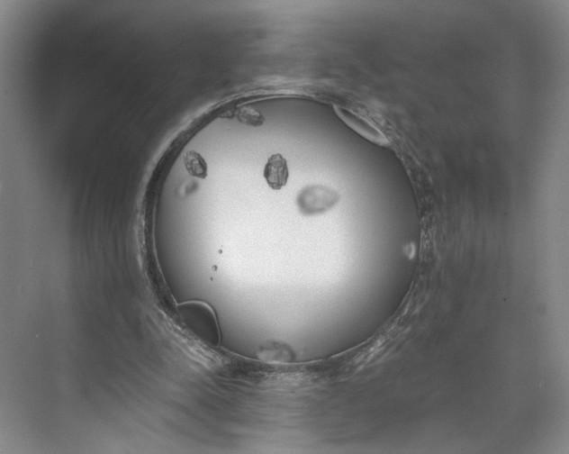 X0000072930342200608041222