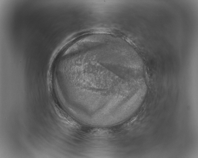 X0000072930343200608041222