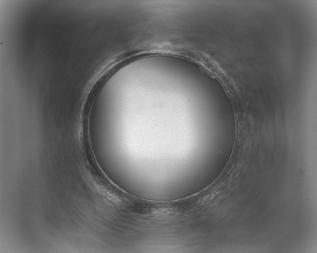 X0000072930344200608041222