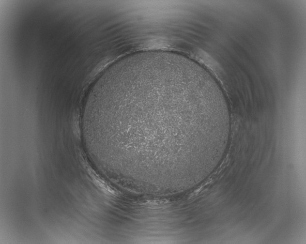 X0000072930345200608041222