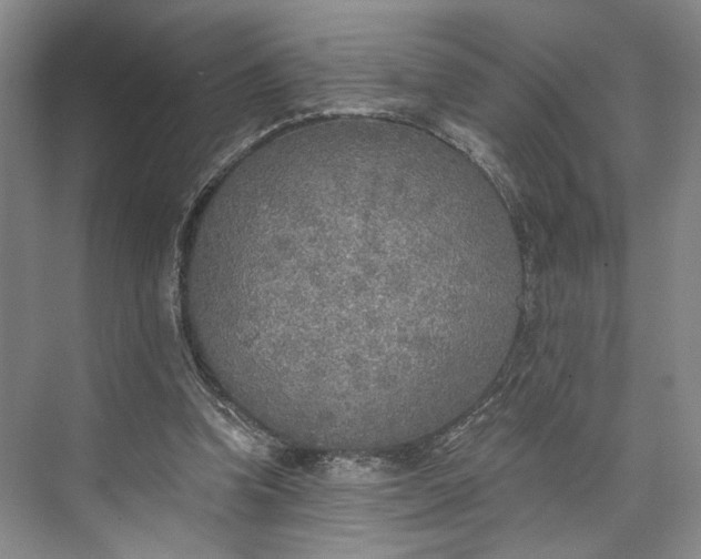 X0000072930346200608041222