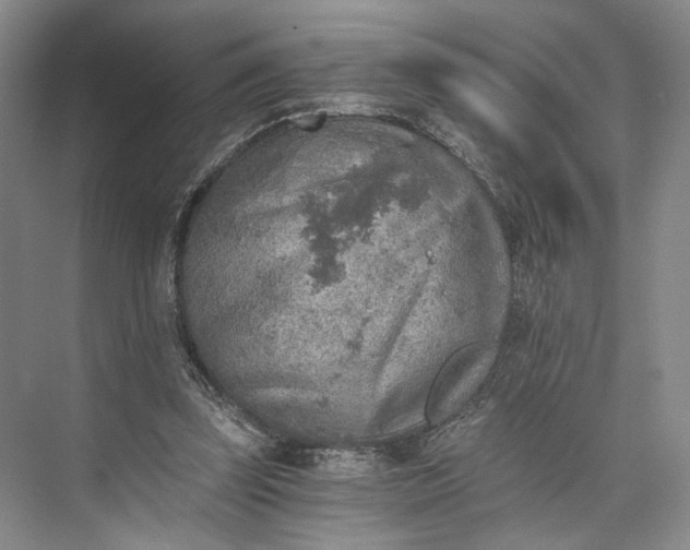 X0000072930347200608041222