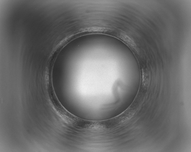 X0000072930348200608041222