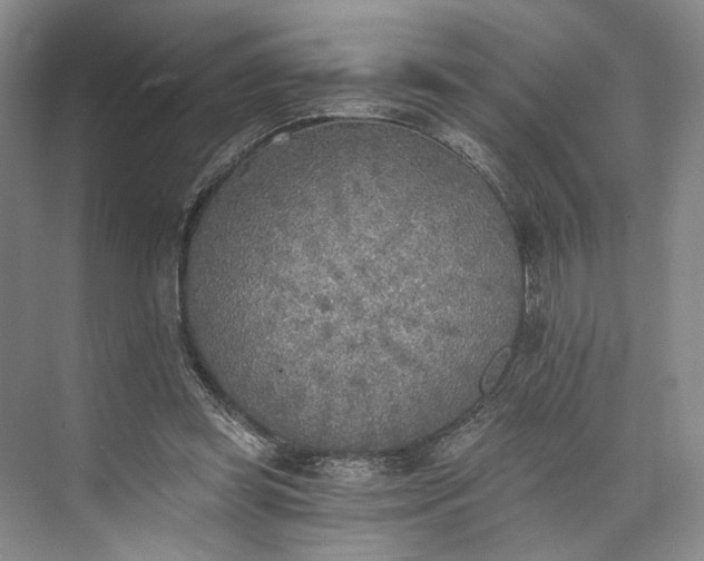 X0000072930349200608041222