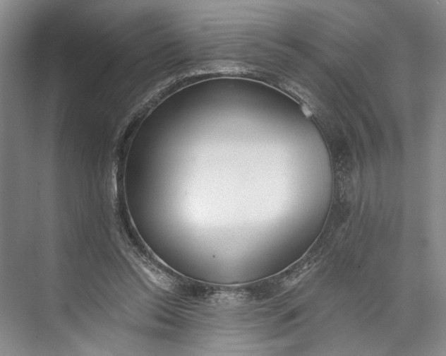 X0000072930350200608041222