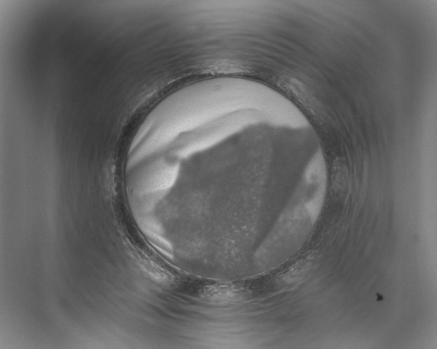 X0000072930351200608041222