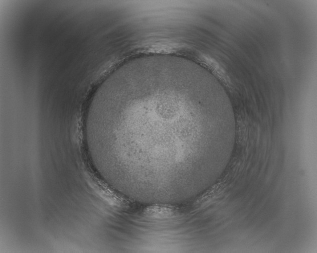 X0000072930354200608041222