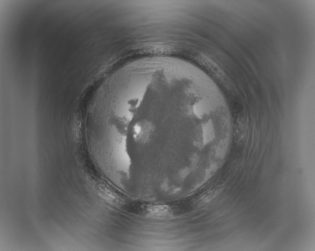 X0000072930355200608041222