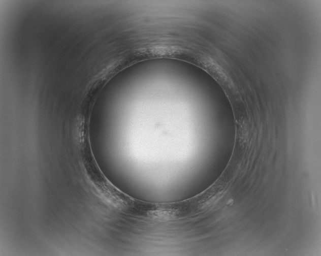 X0000072930356200608041222