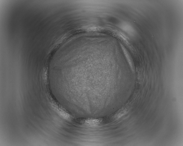 X0000072930357200608041222