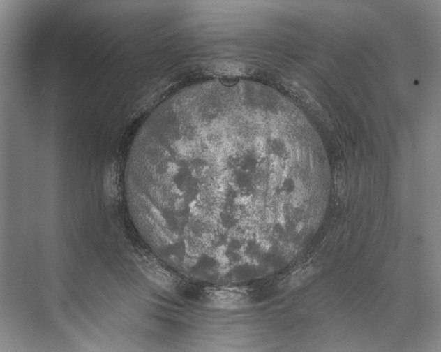 X0000072930359200608041222