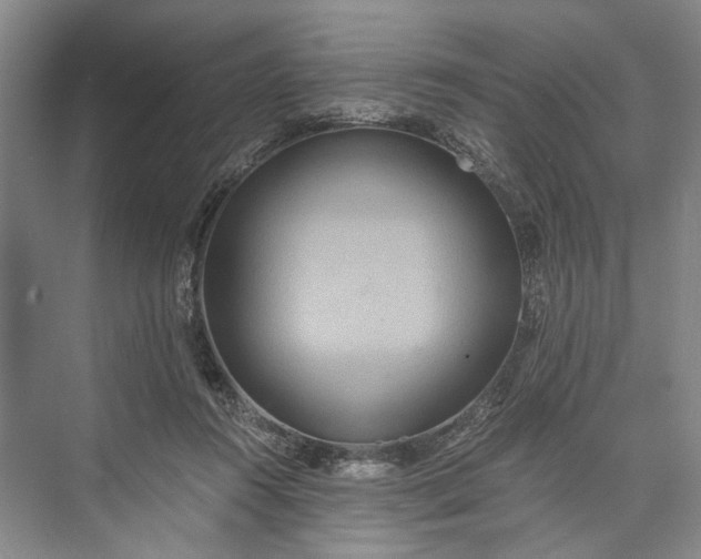 X0000072930360200608041222