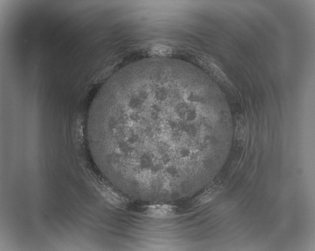 X0000072930363200608041222