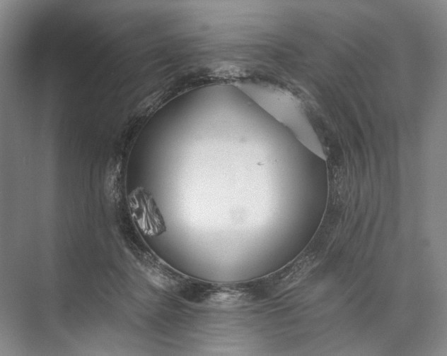 X0000072930364200608041222