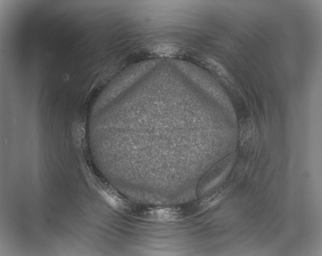 X0000072930365200608041222