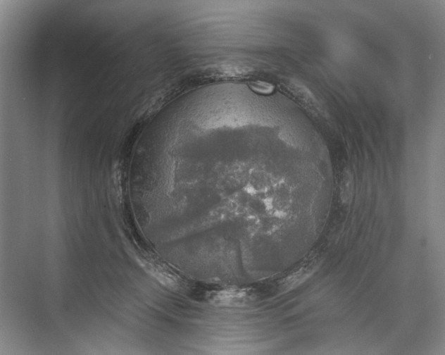 X0000072930366200608041222