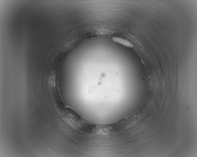 X0000072930368200608041222