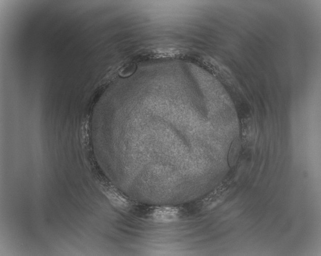 X0000072930369200608041222