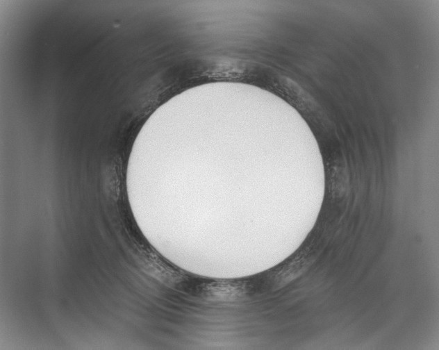 X0000072930370200608041222