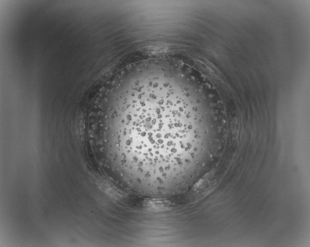 X0000072930372200608041222