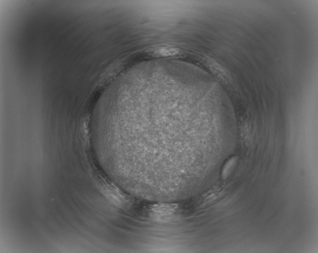 X0000072930373200608041222