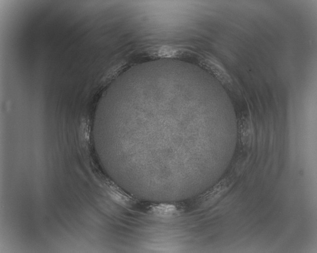 X0000072930374200608041222