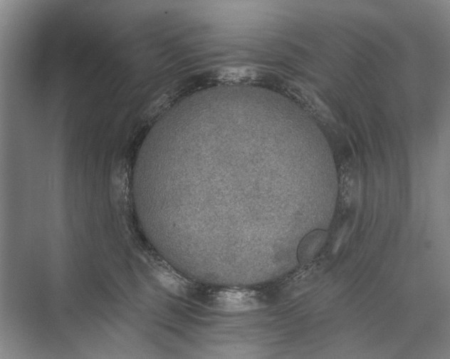 X0000072930375200608041222