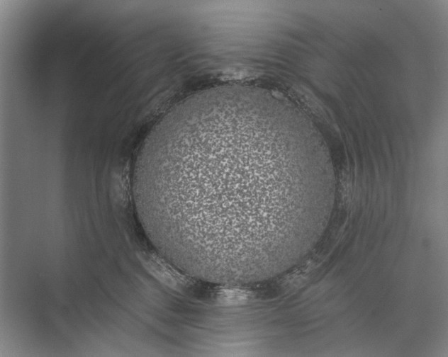 X0000072930376200608041222