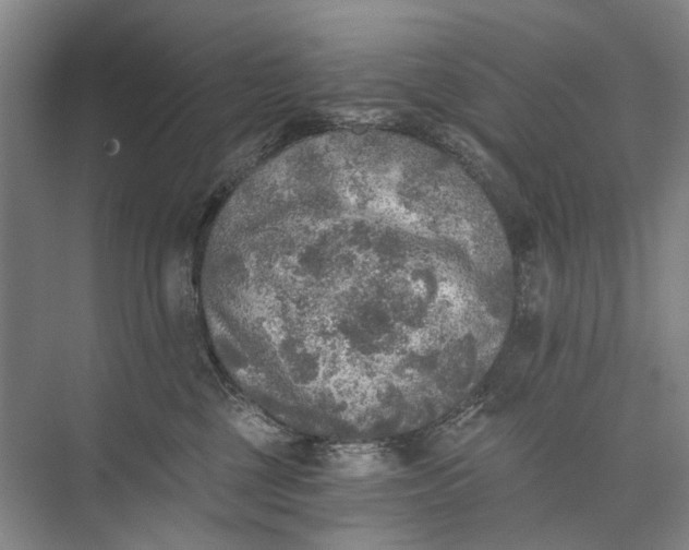 X0000072930377200608041222