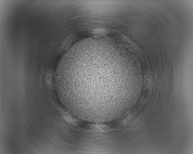 X0000072930379200608041222