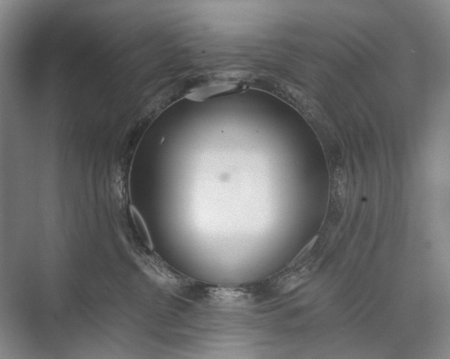 X0000072930380200608041222