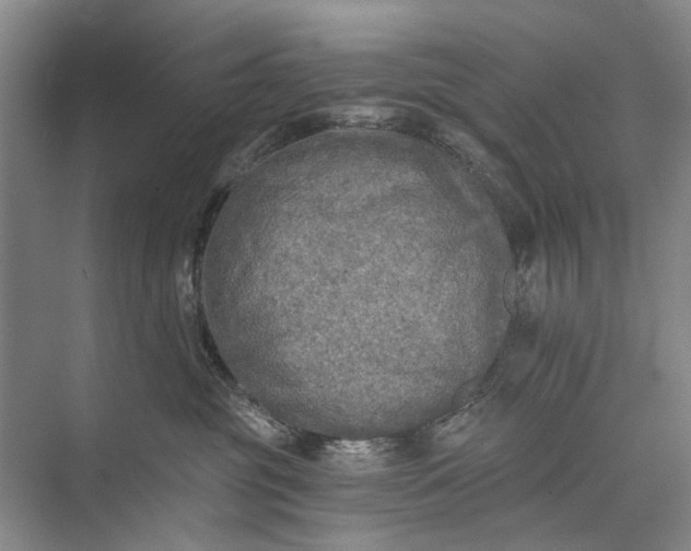 X0000072930381200608041222