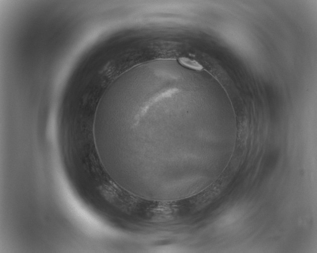 X0000072930383200608041222