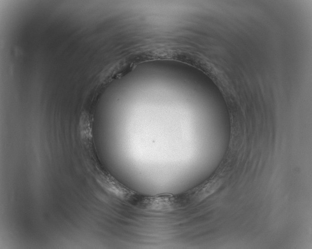 X0000072930384200608041222