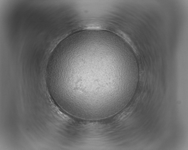 X0000072930385200608041221