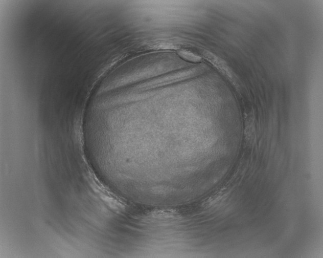 X0000072930386200608041221