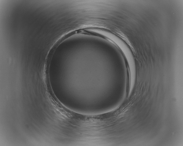 X0000072930387200608041221