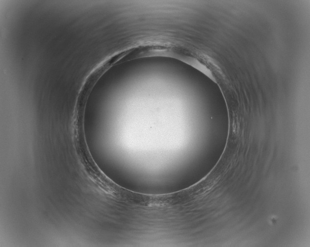 X0000072930388200608041221