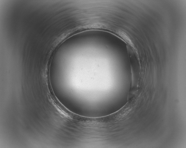 X0000072930389200608041221