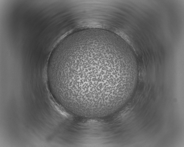 X0000072930390200608041221