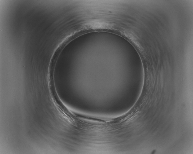 X0000072930391200608041221