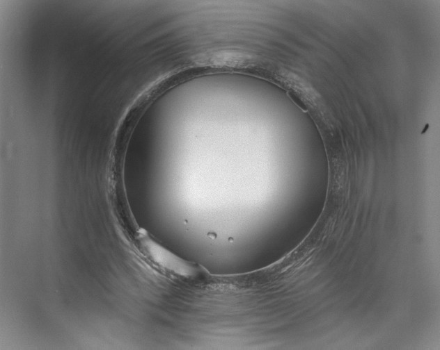 X0000072930392200608041221