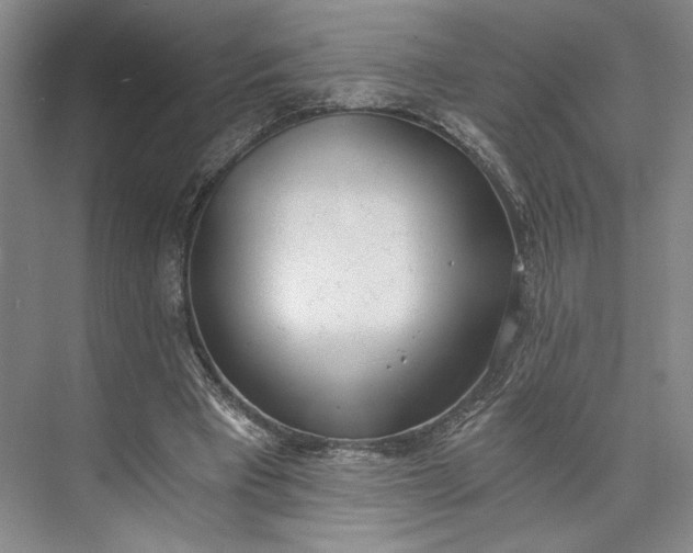 X0000072930393200608041221