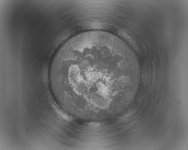 X0000072930394200608041221