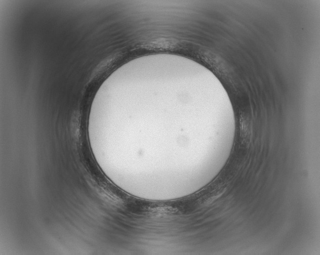 X0000072930396200608041221